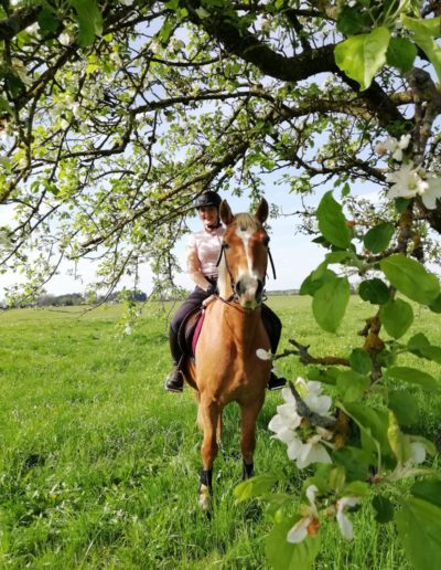 Ponyhof Priemen