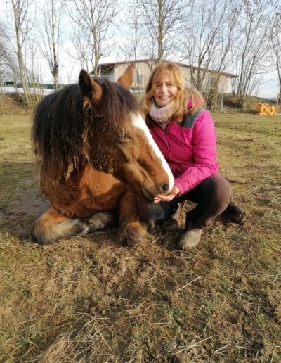 Ponyhof Priemen
