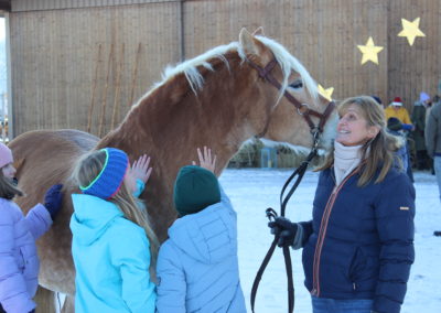 Ponyhof Priemen