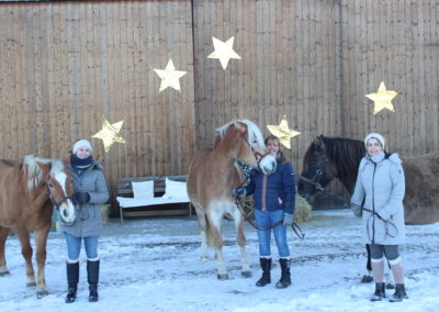 Ponyhof Priemen